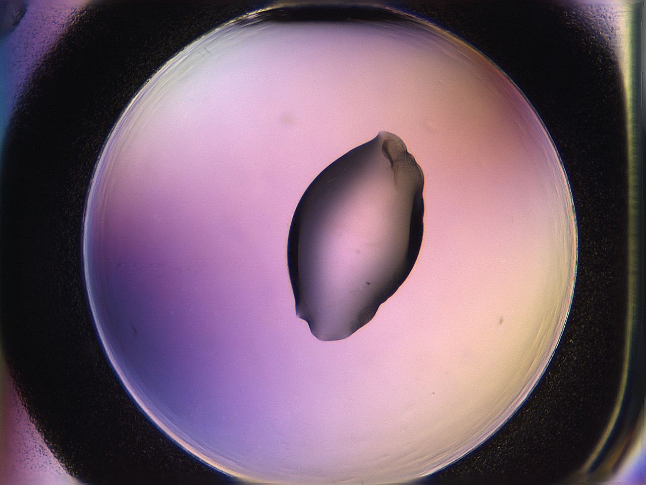 05qg_F5_ImagerDefaults_1.jpg