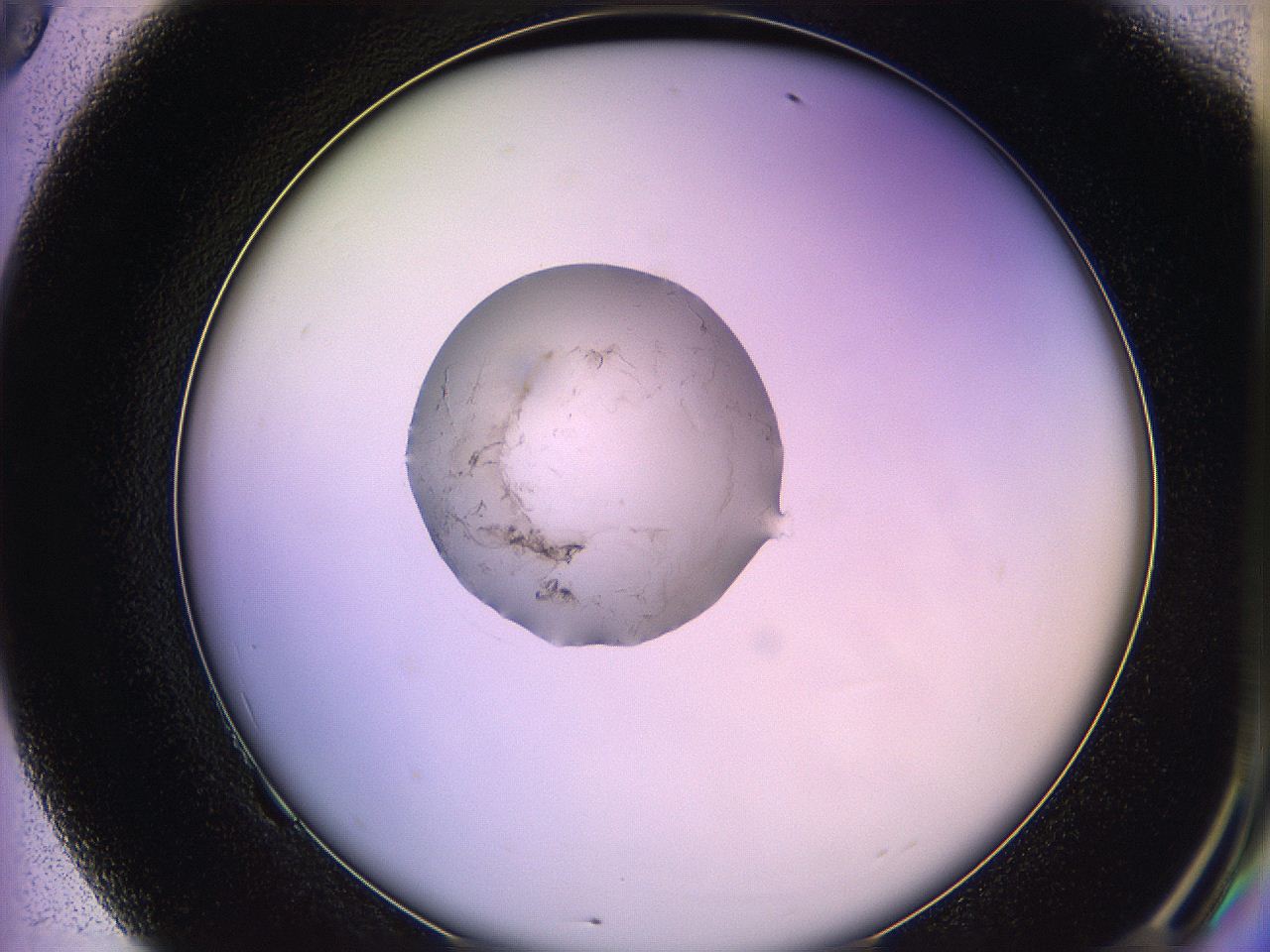 05qg_F9_ImagerDefaults_3.jpg
