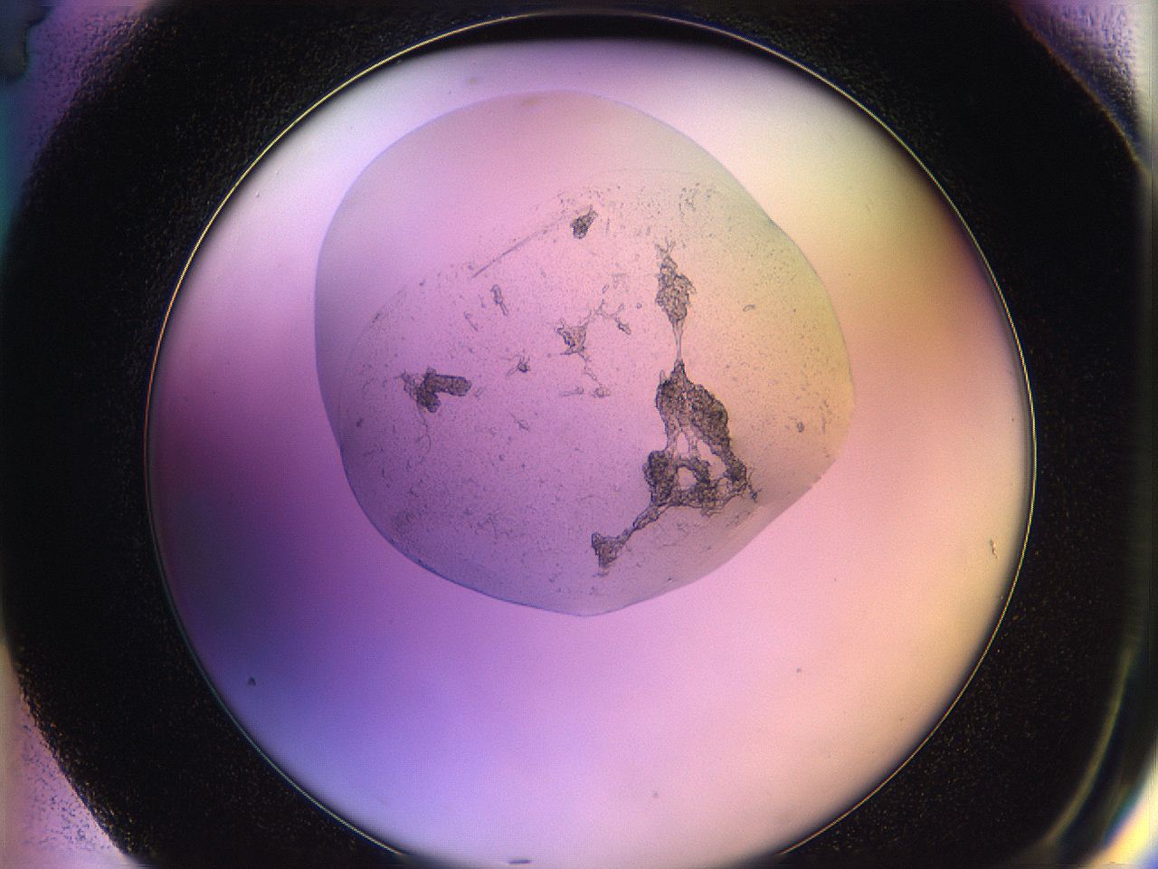 05qg_G4_ImagerDefaults_1.jpg