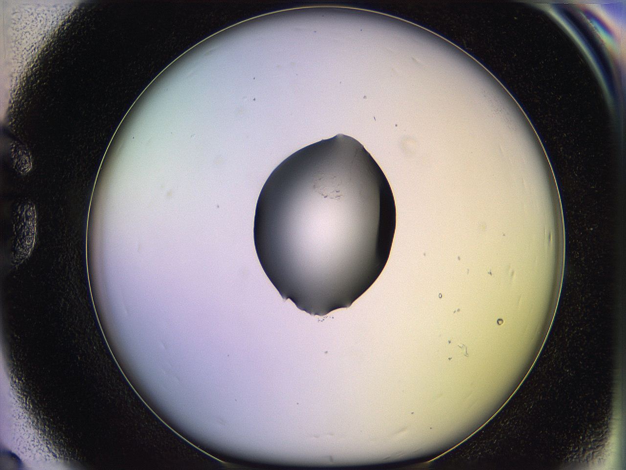 05qg_G8_ImagerDefaults_1.jpg