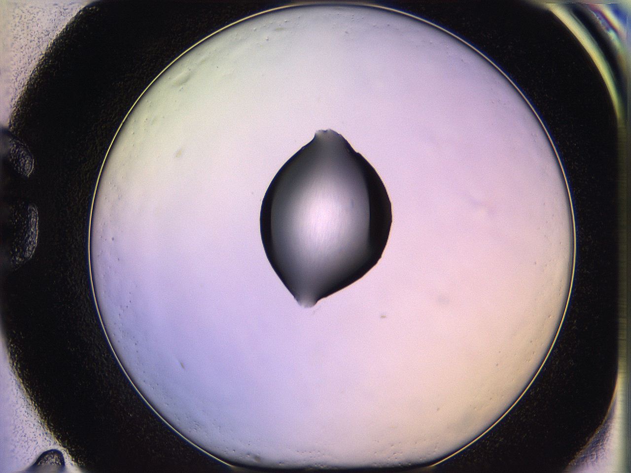05qg_G11_ImagerDefaults_1.jpg