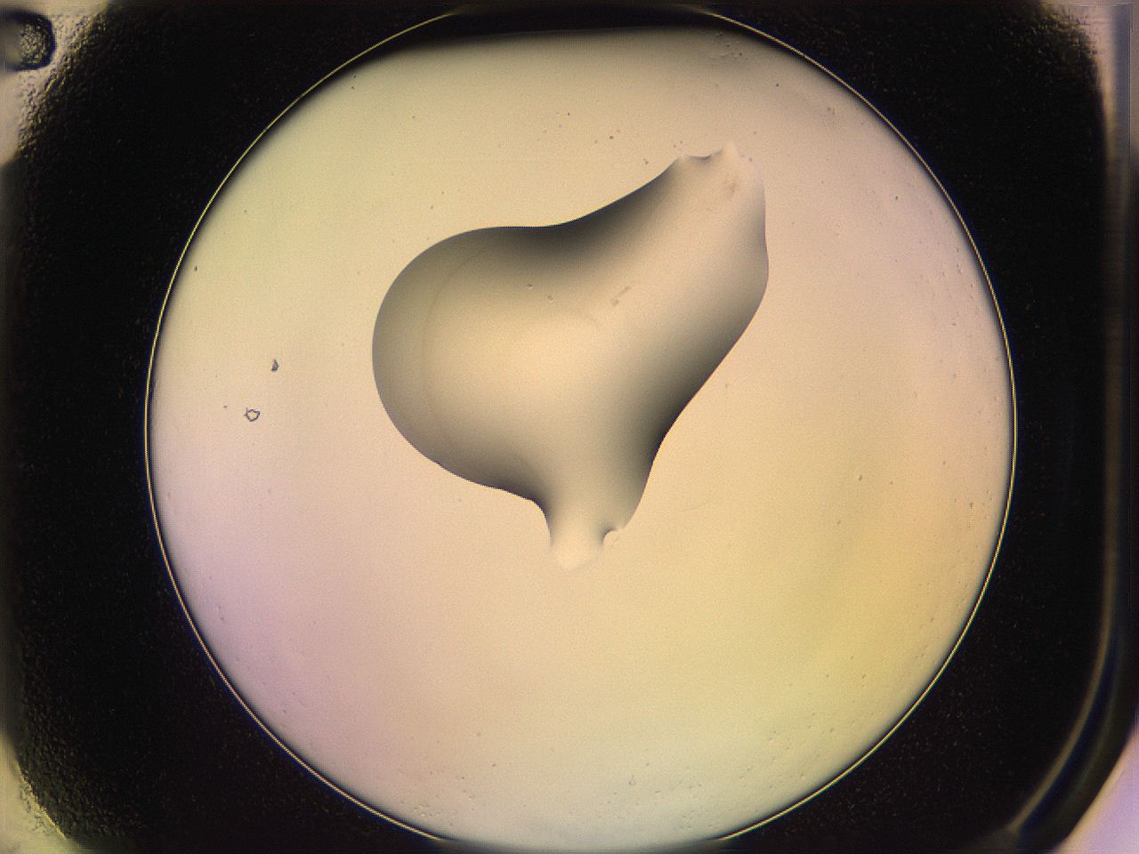 05qh_A2_ImagerDefaults_1.jpg