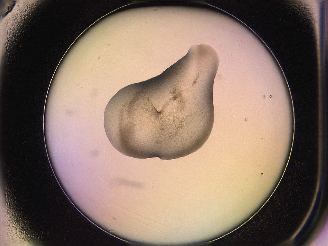 05qh_A3_ImagerDefaults_3.jpg