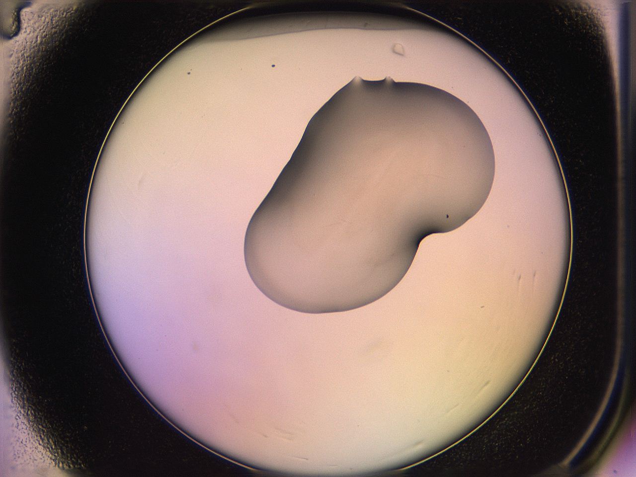 05qh_A4_ImagerDefaults_3.jpg