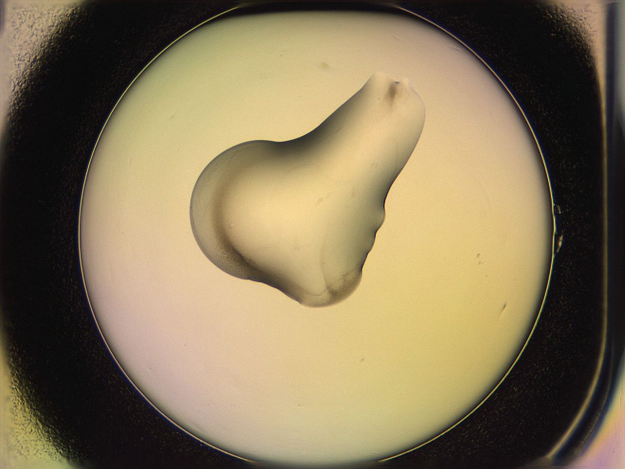 05qh_A1_ImagerDefaults_3.jpg
