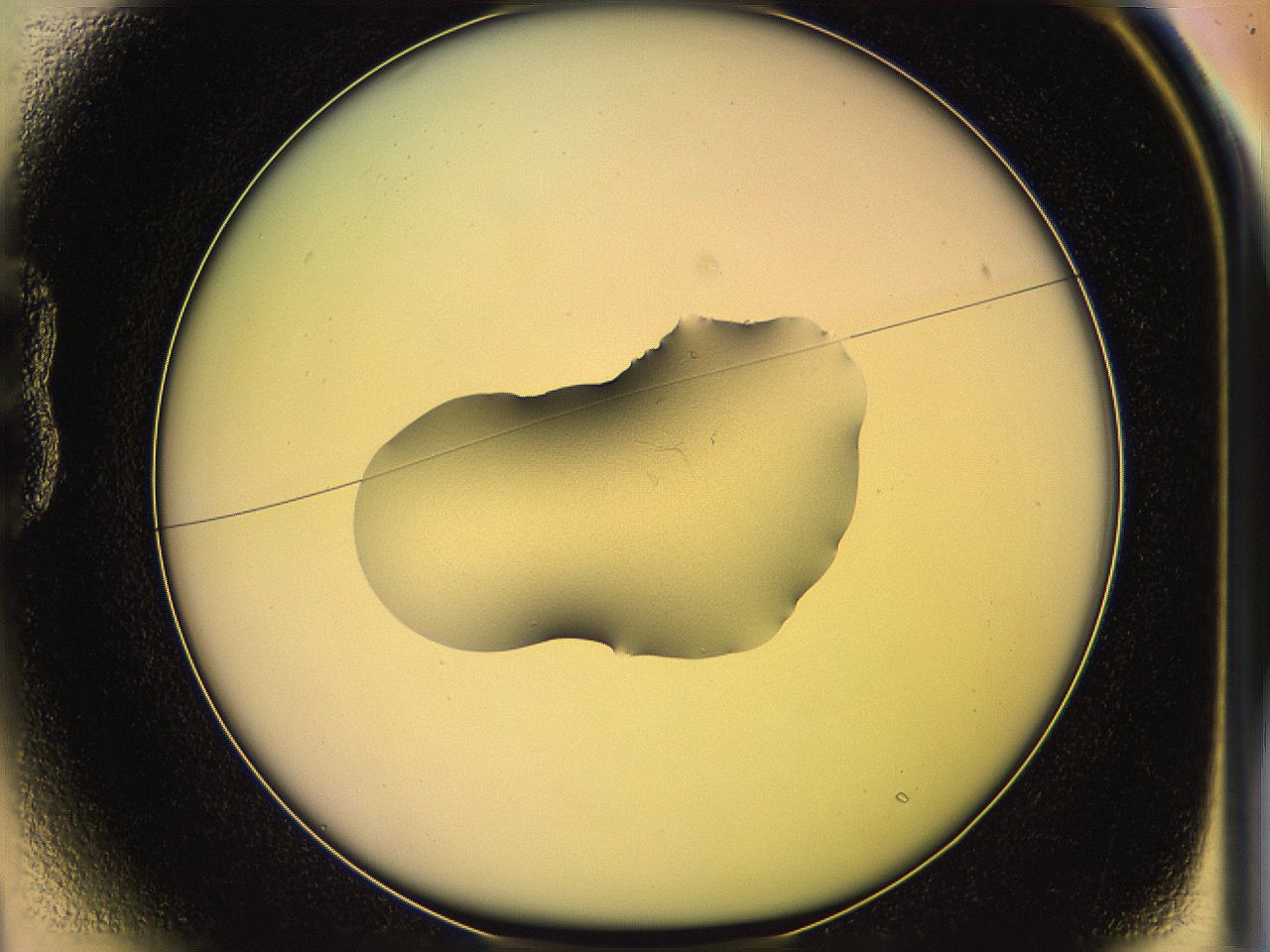 05qh_B1_ImagerDefaults_1.jpg