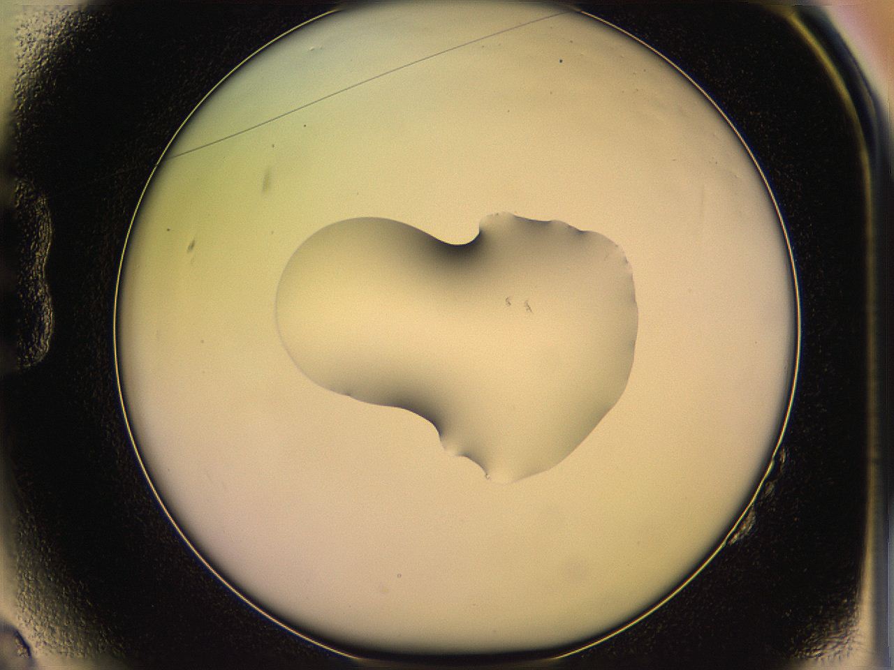 05qh_B2_ImagerDefaults_1.jpg