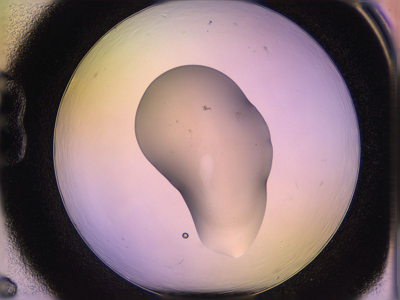05qh_B6_ImagerDefaults_1.jpg