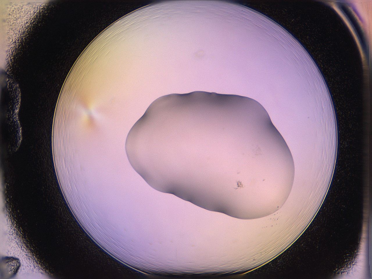 05qh_B7_ImagerDefaults_1.jpg