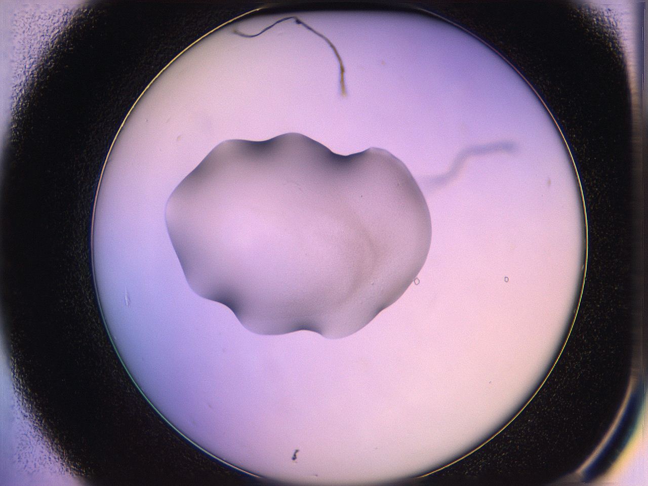 05qh_B7_ImagerDefaults_3.jpg
