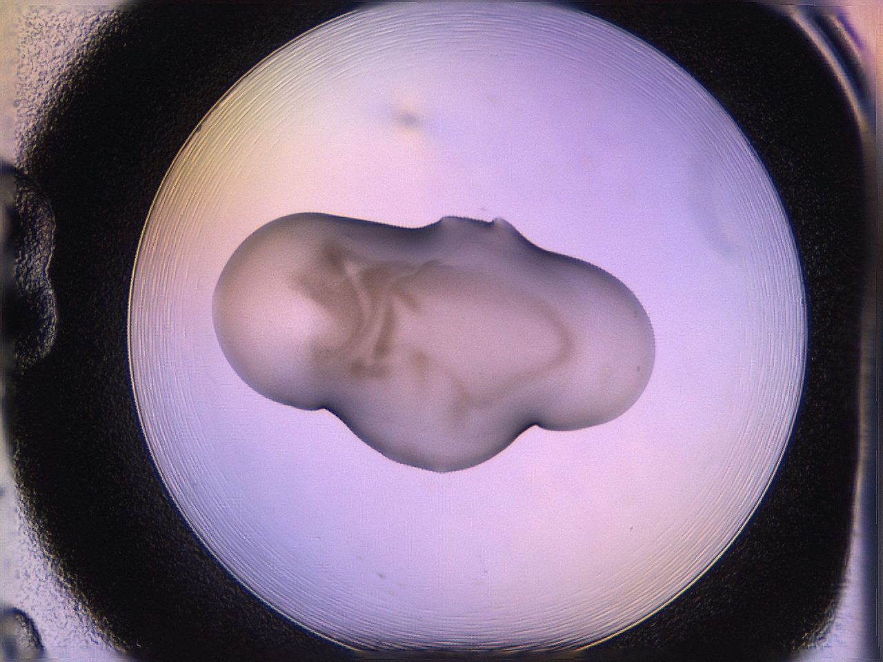 05qh_B8_ImagerDefaults_3.jpg