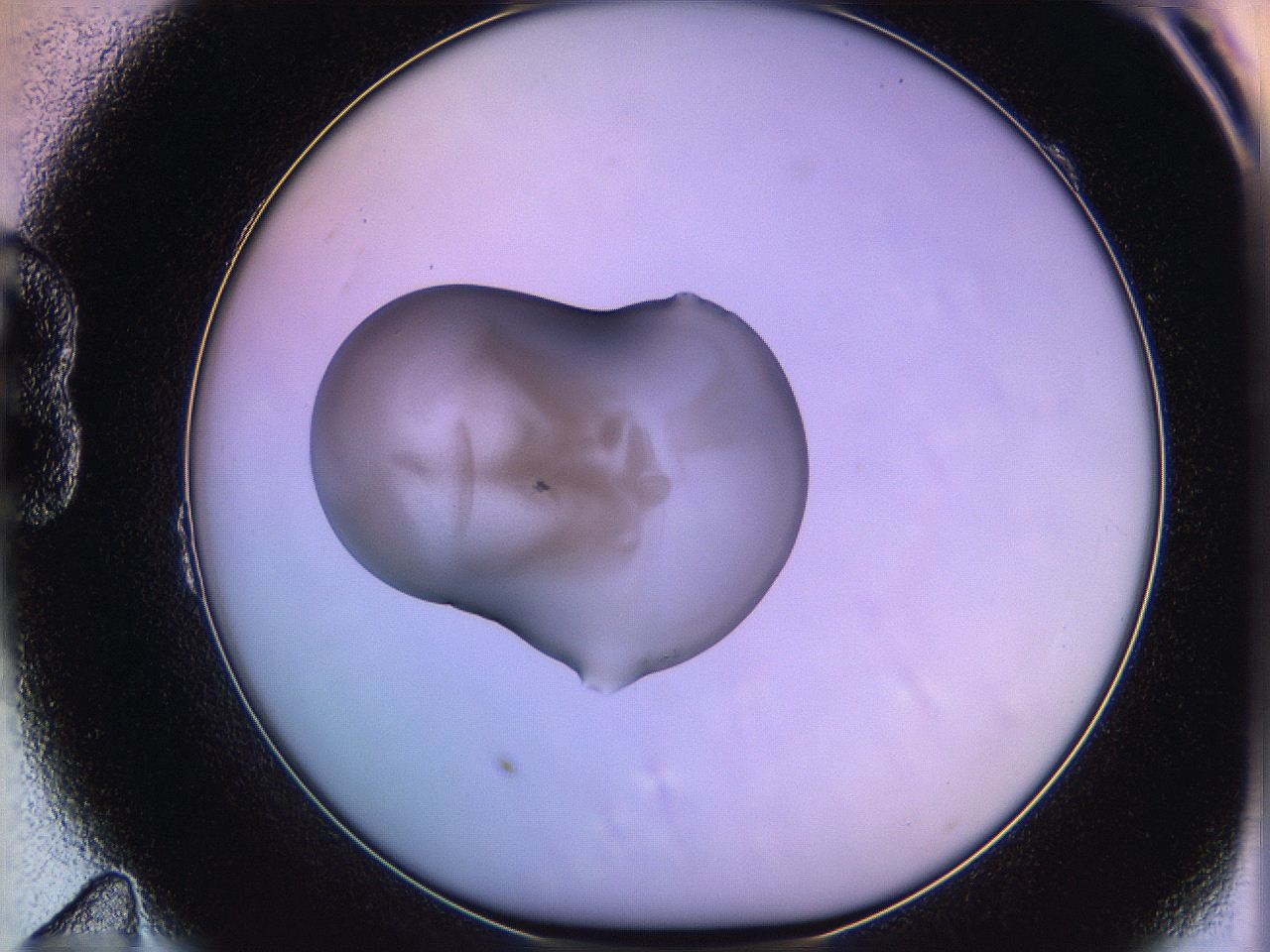 05qh_B11_ImagerDefaults_3.jpg