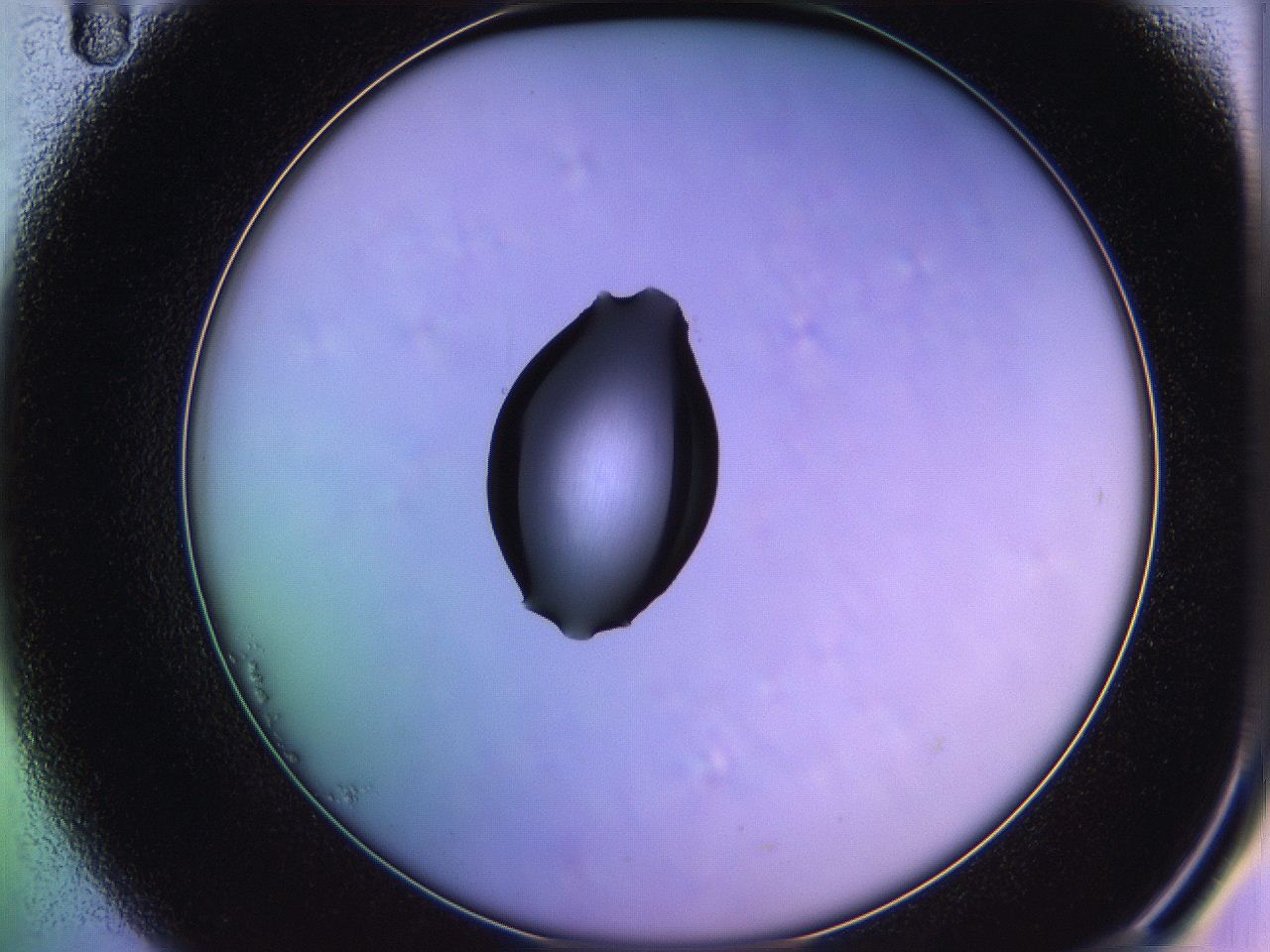 05qh_B11_ImagerDefaults_1.jpg