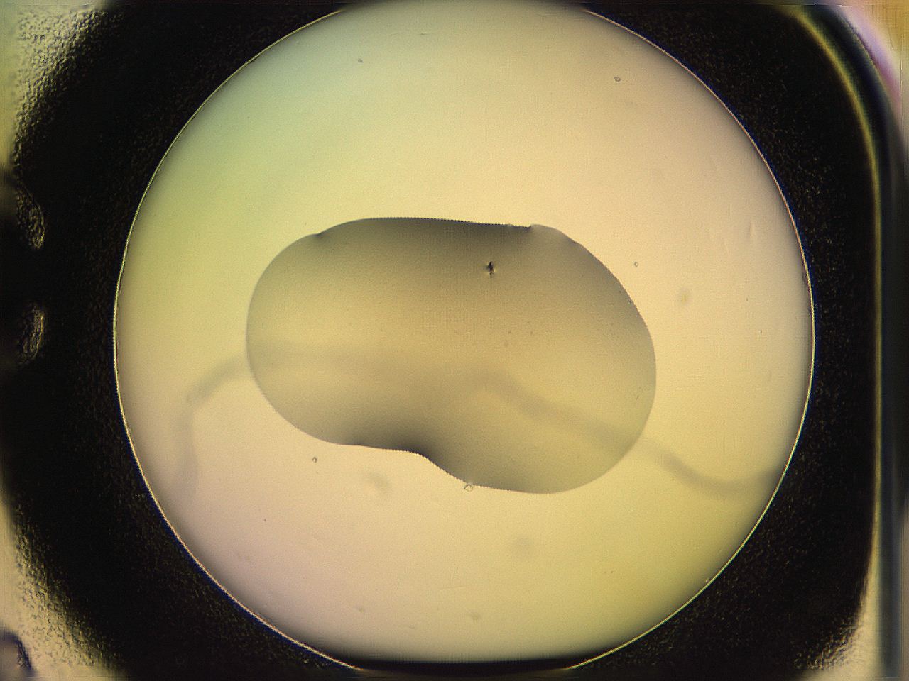 05qh_C2_ImagerDefaults_1.jpg