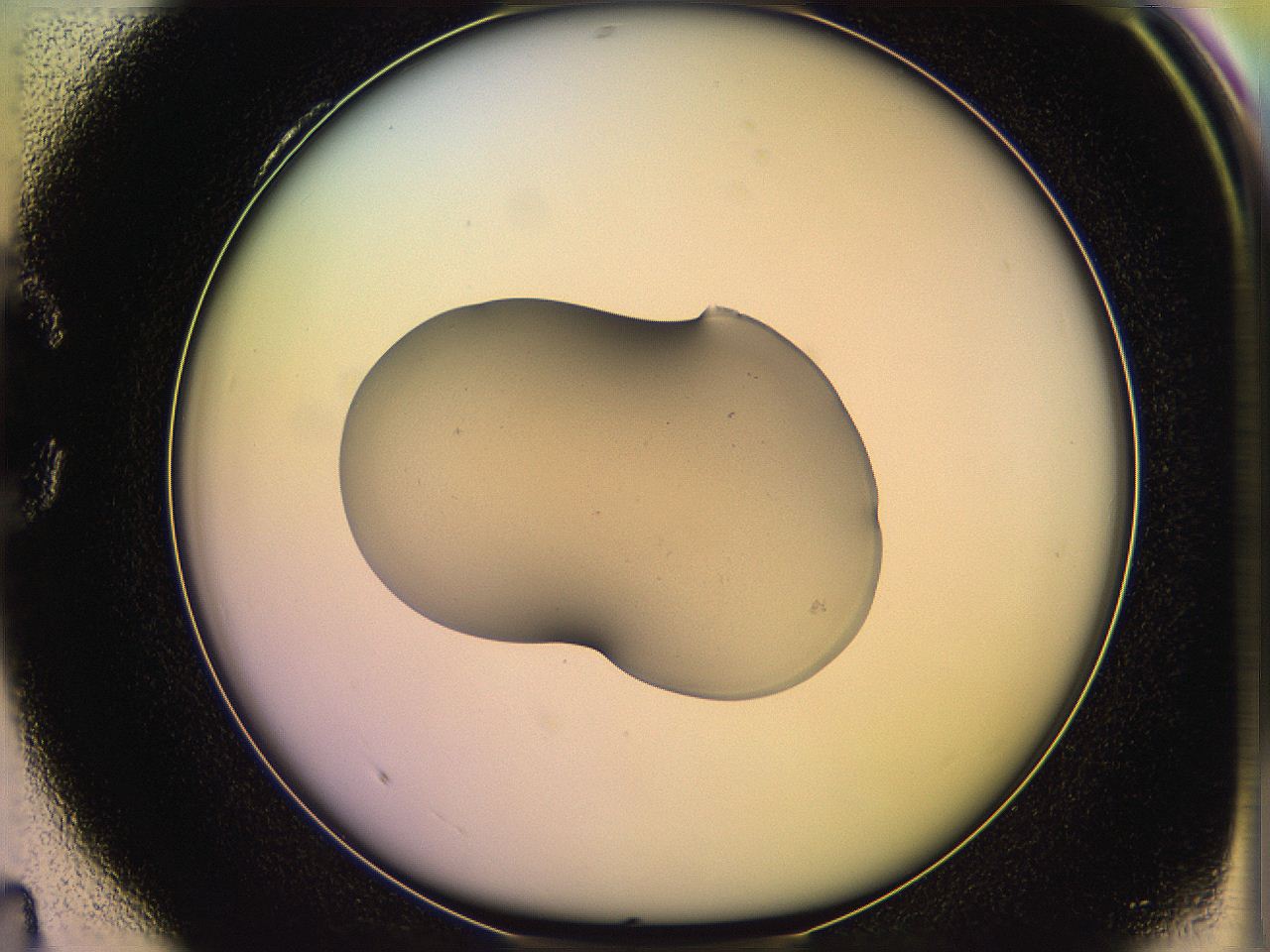 05qh_C4_ImagerDefaults_1.jpg