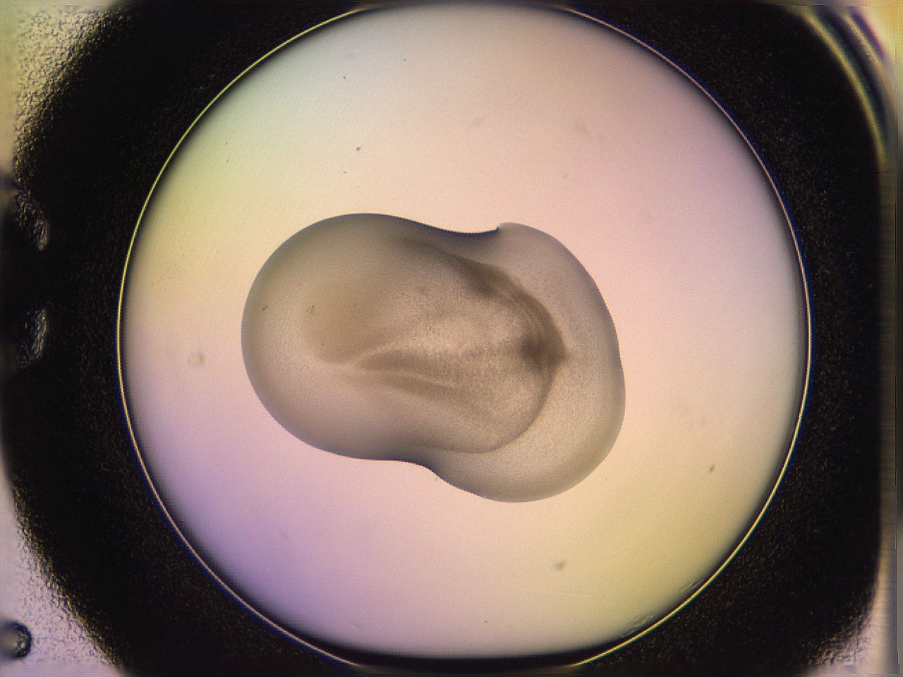 05qh_C5_ImagerDefaults_3.jpg