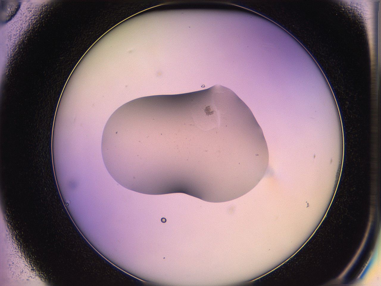 05qh_C6_ImagerDefaults_2.jpg