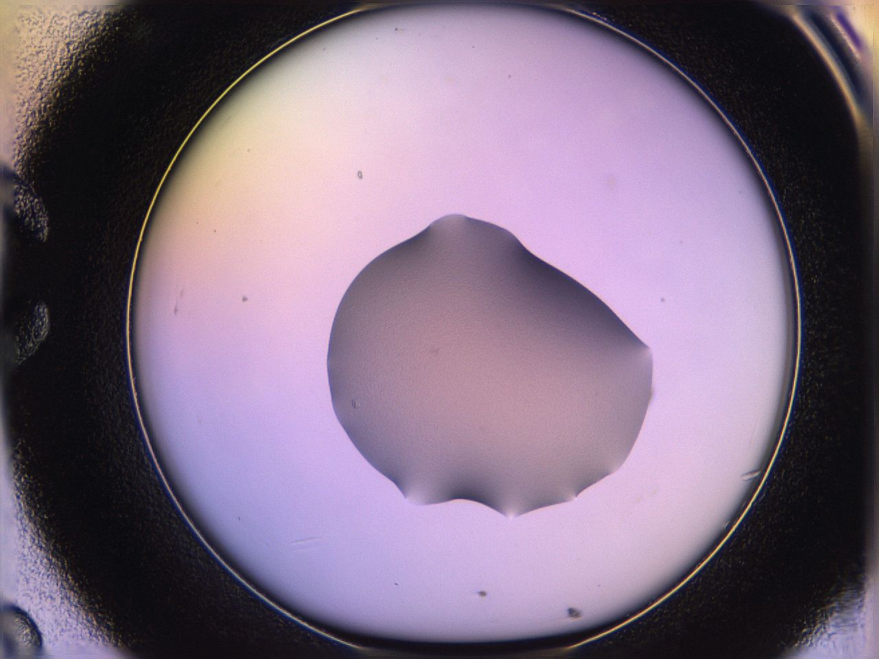 05qh_C8_ImagerDefaults_1.jpg