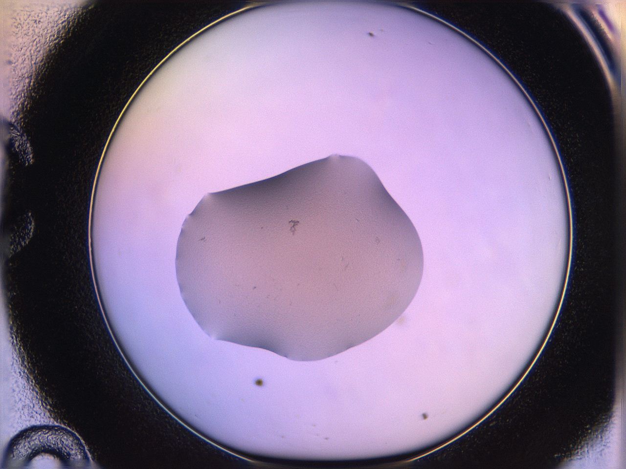 05qh_C10_ImagerDefaults_1.jpg