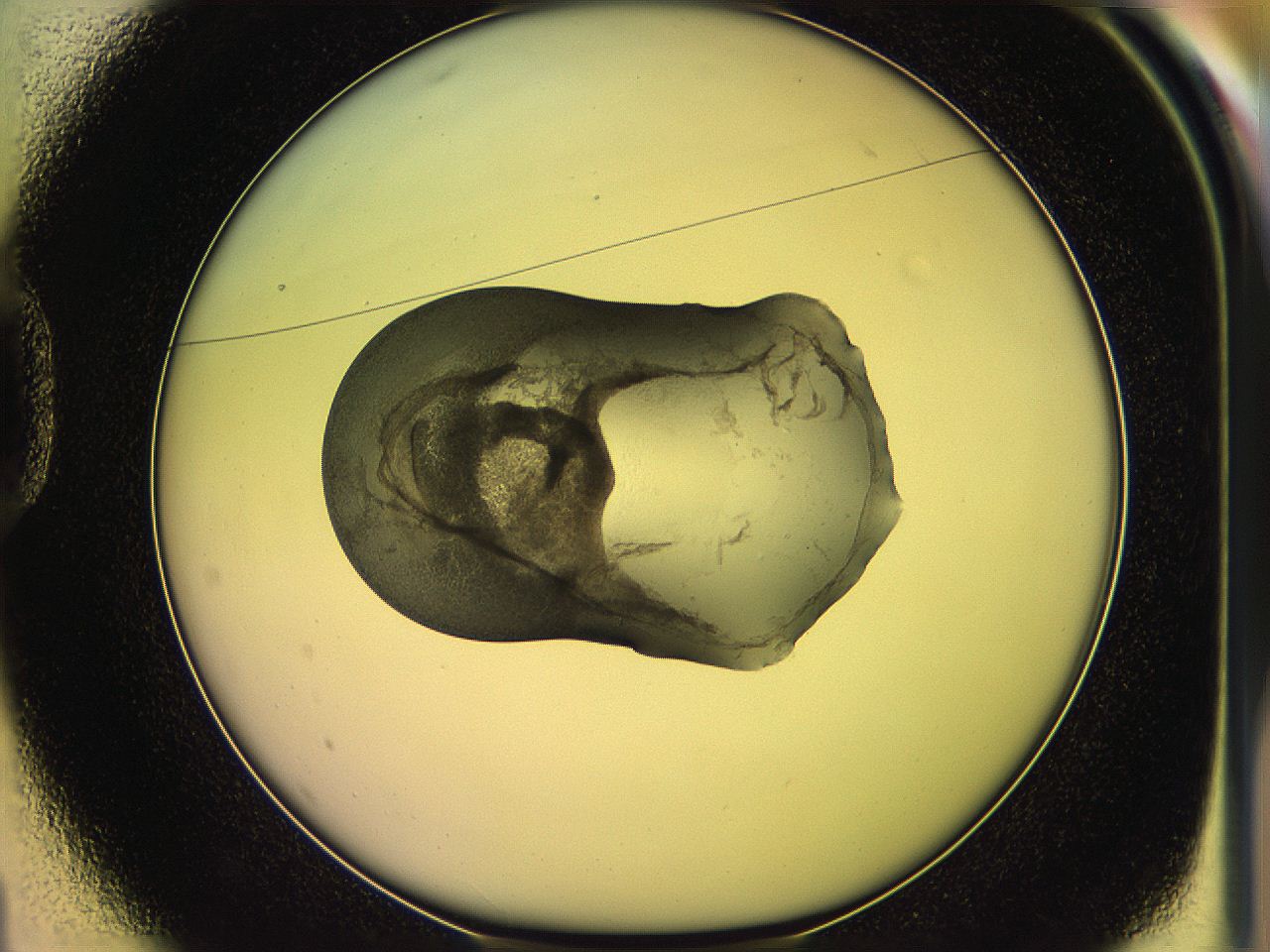 05qh_D1_ImagerDefaults_3.jpg