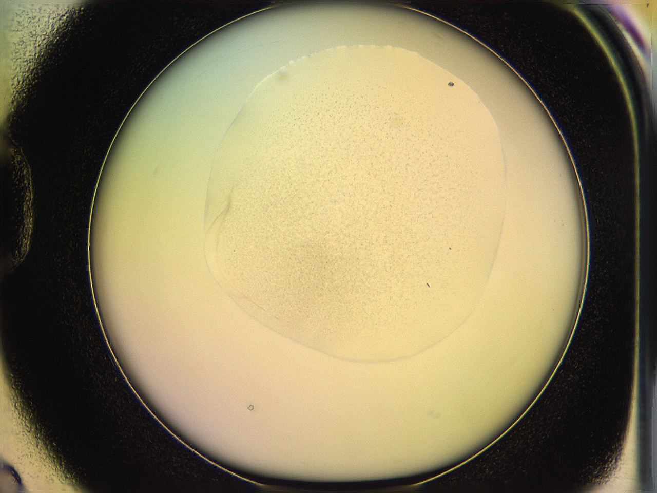 05qh_D2_ImagerDefaults_3.jpg