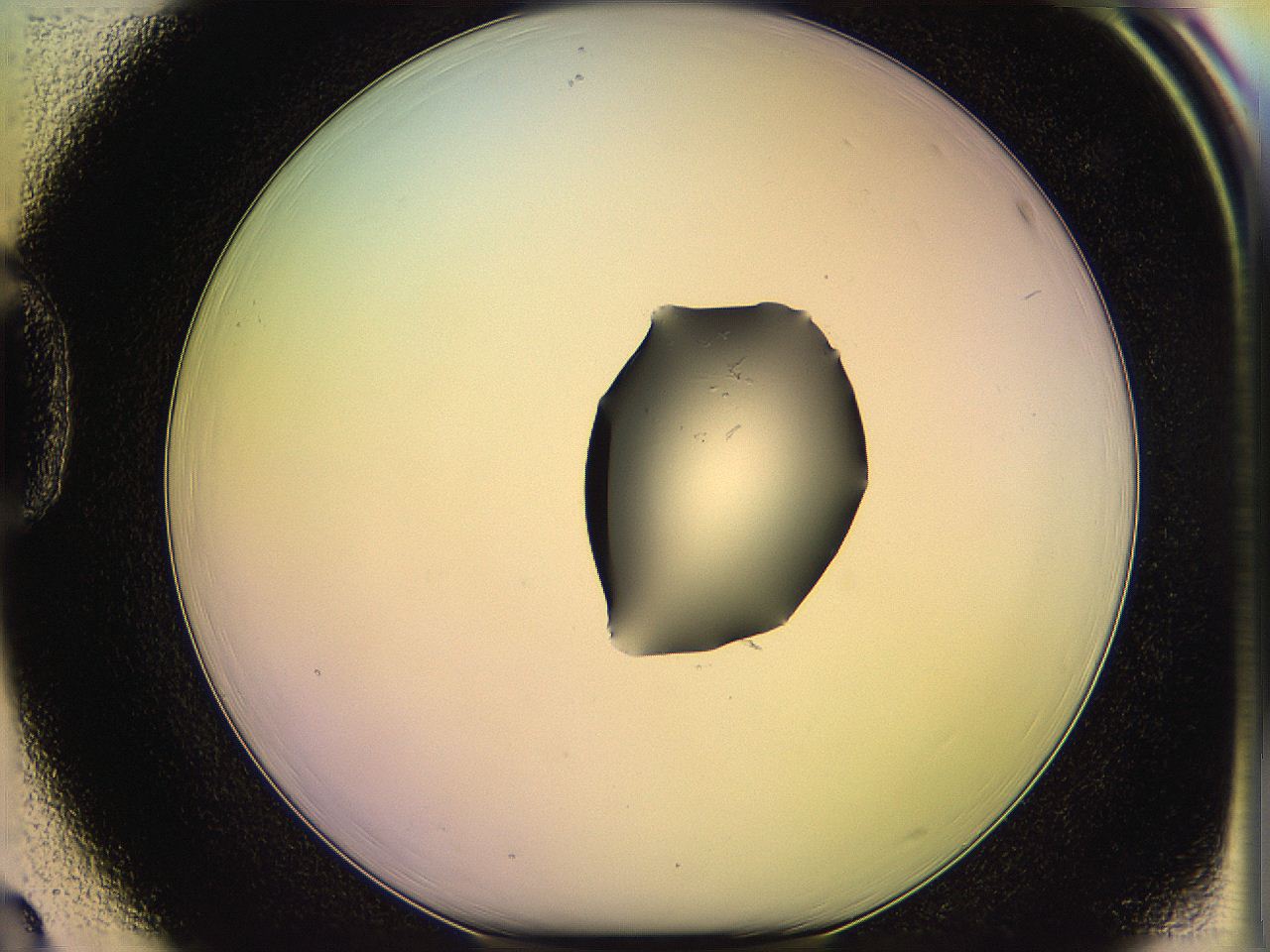 05qh_D3_ImagerDefaults_1.jpg
