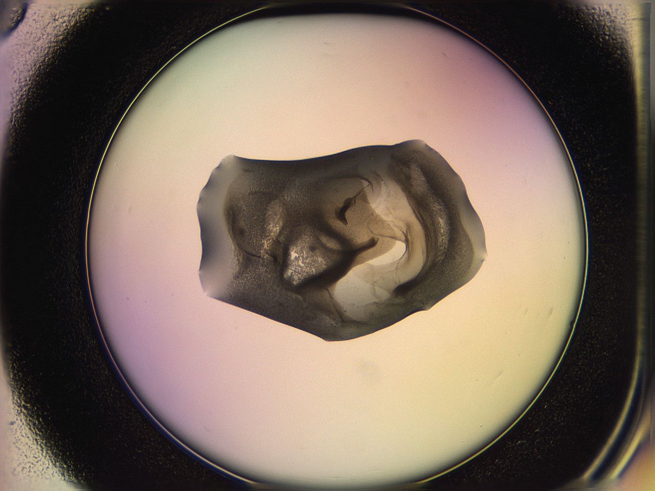 05qh_D3_ImagerDefaults_3.jpg