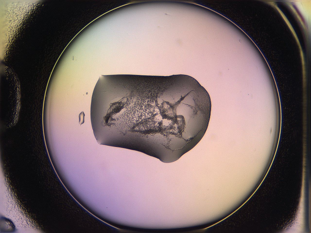 05qh_D6_ImagerDefaults_3.jpg