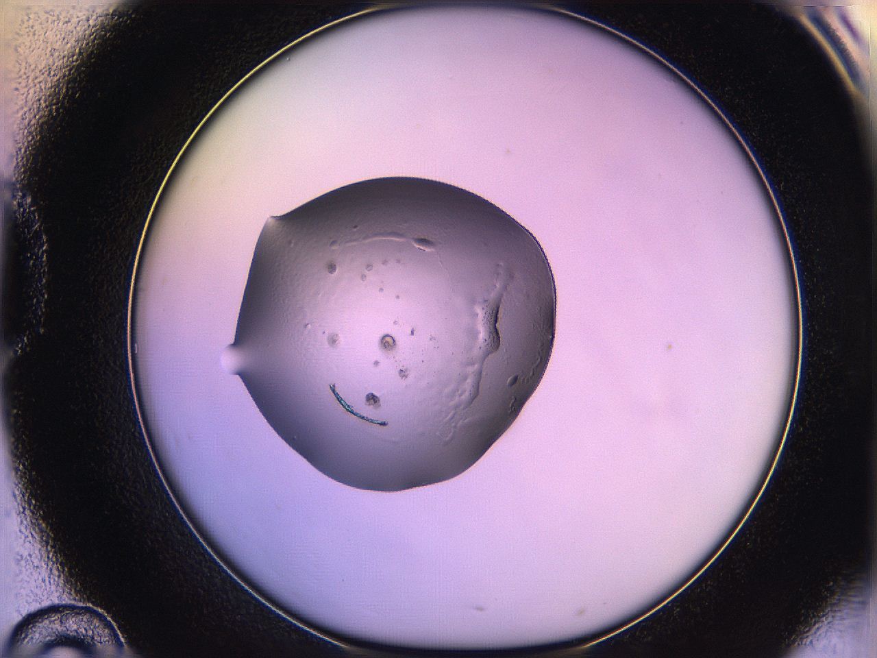05qh_D10_ImagerDefaults_2.jpg