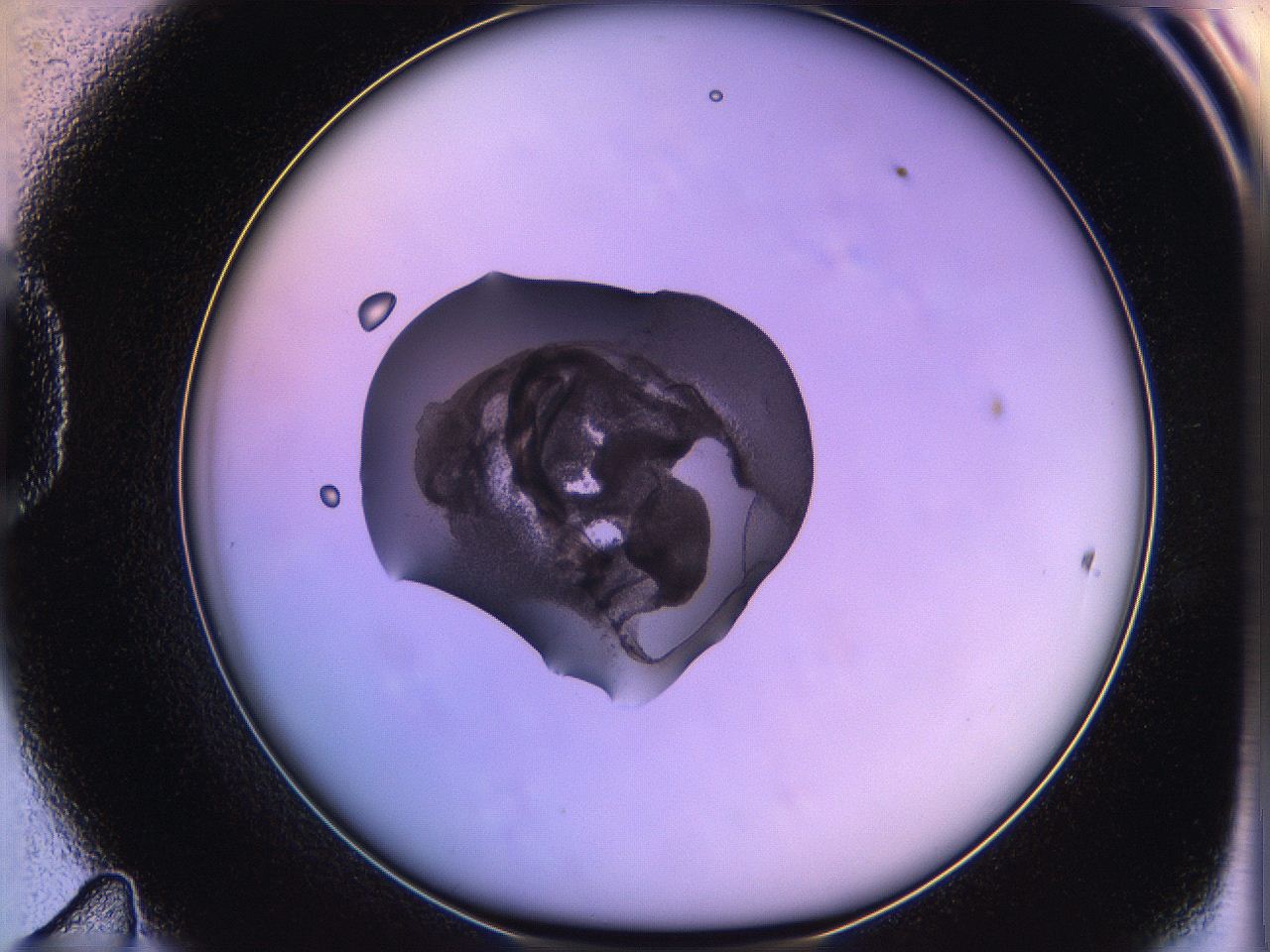05qh_D11_ImagerDefaults_3.jpg