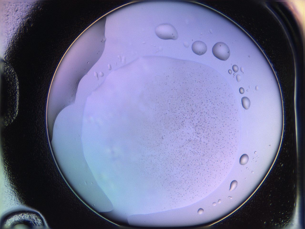 05qh_D12_ImagerDefaults_2.jpg