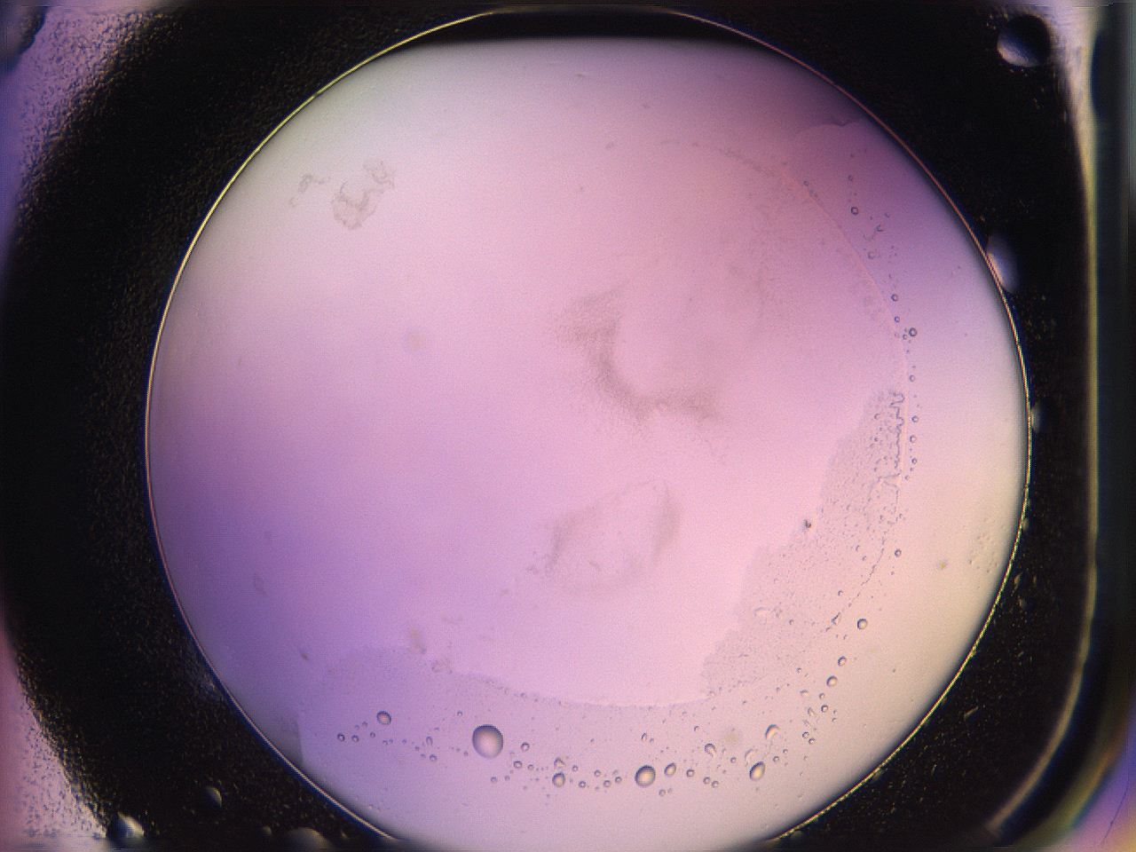 05qh_E5_ImagerDefaults_1.jpg