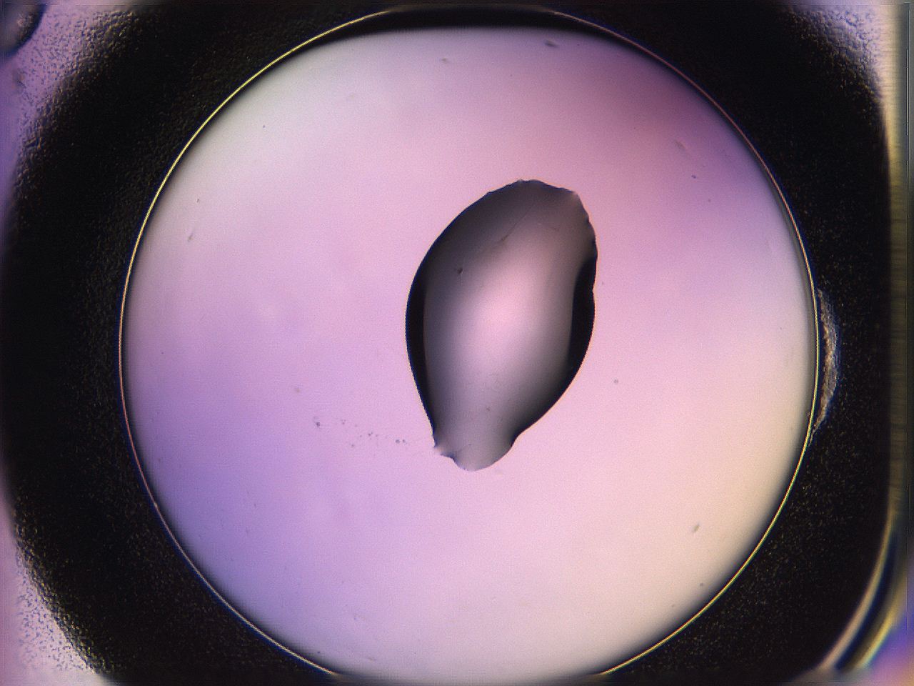 05qh_E6_ImagerDefaults_1.jpg