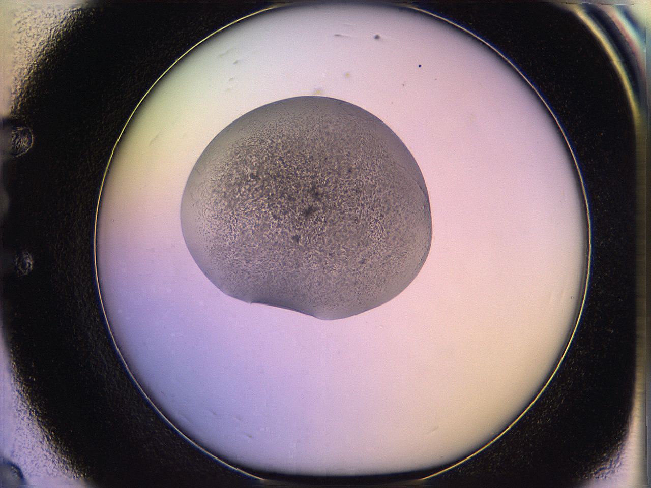 05qh_E8_ImagerDefaults_3.jpg