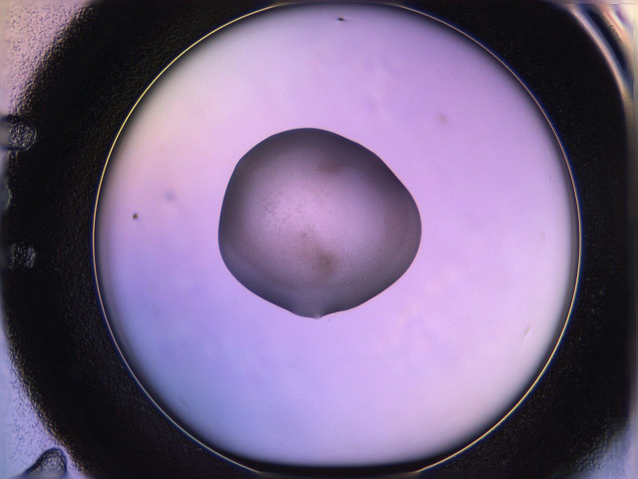 05qh_E11_ImagerDefaults_3.jpg