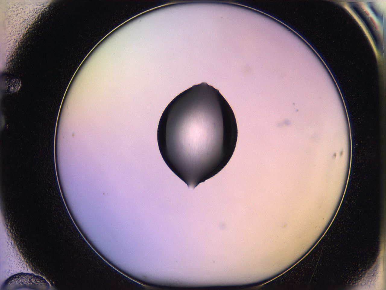 05qh_F10_ImagerDefaults_1.jpg