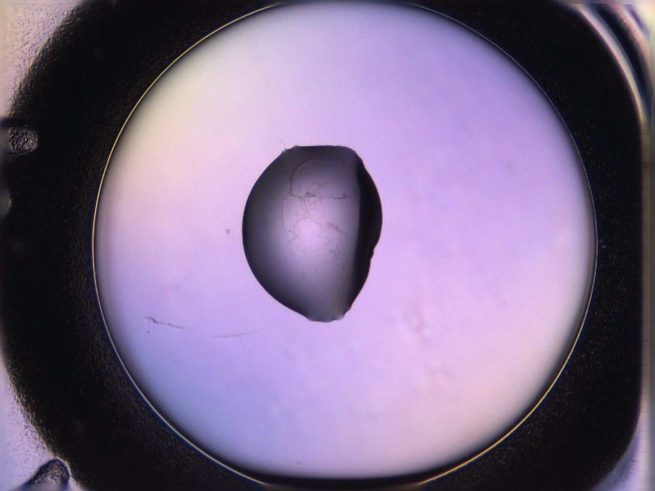 05qh_F11_ImagerDefaults_3.jpg