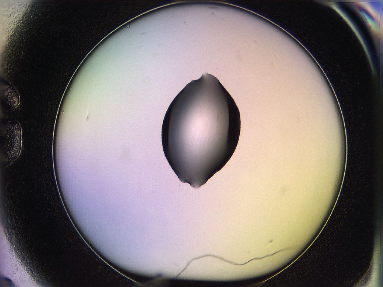 05qh_G9_ImagerDefaults_1.jpg