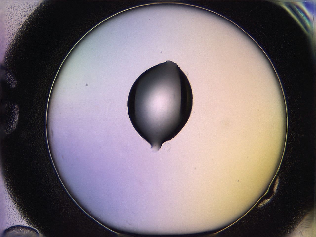 05qh_G10_ImagerDefaults_1.jpg