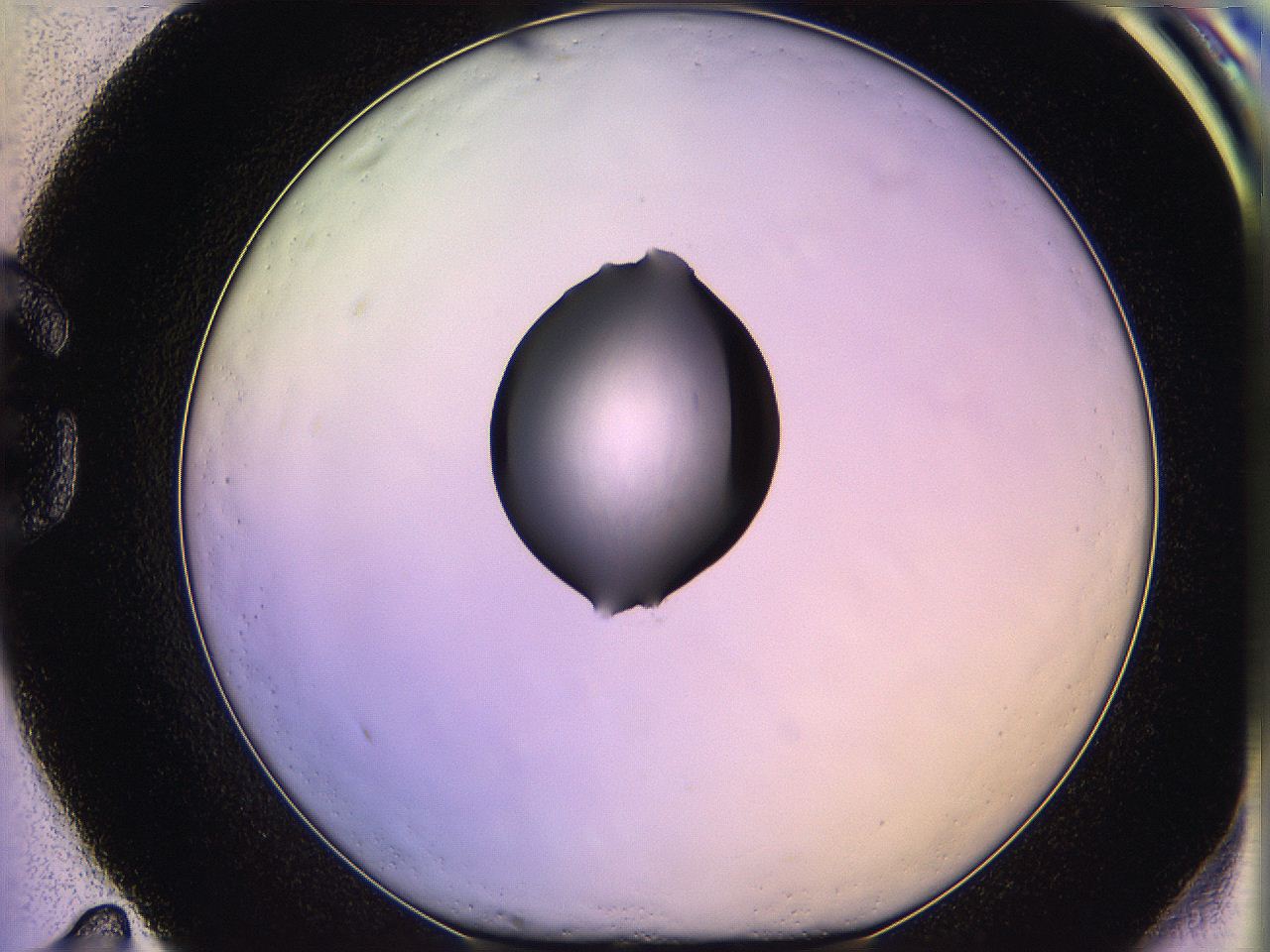 05qh_G11_ImagerDefaults_1.jpg