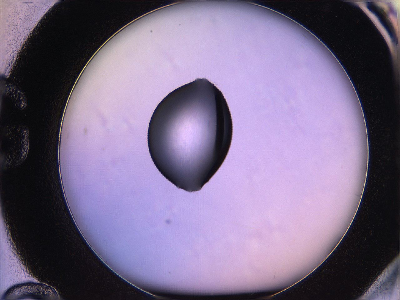 05qh_G12_ImagerDefaults_1.jpg