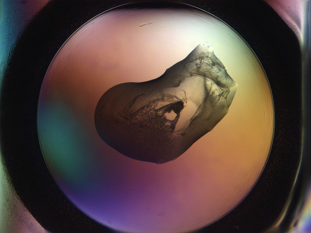 05qh_H1_ImagerDefaults_2.jpg