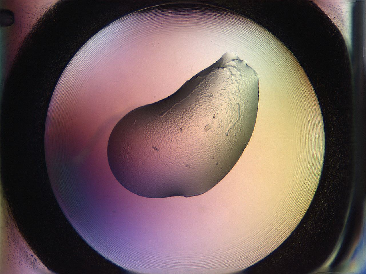 05qh_H2_ImagerDefaults_2.jpg