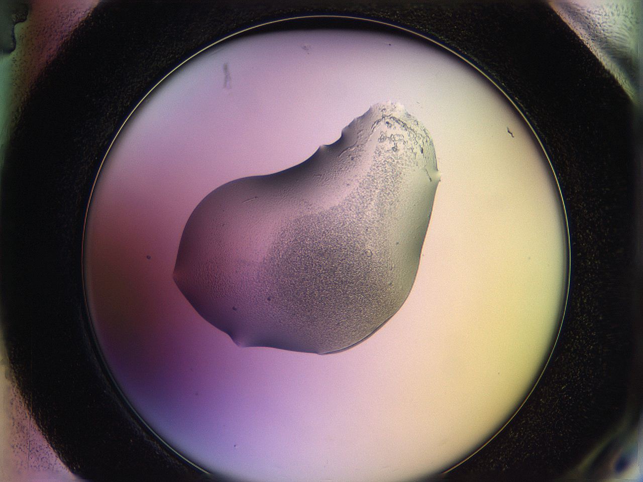 05qh_H4_ImagerDefaults_3.jpg
