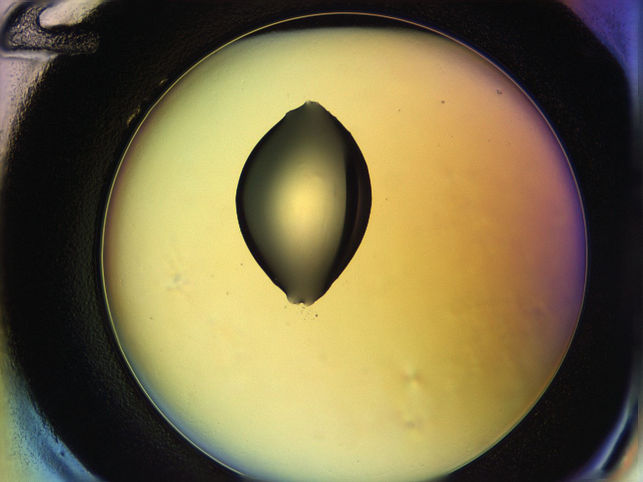 05qh_H12_ImagerDefaults_1.jpg