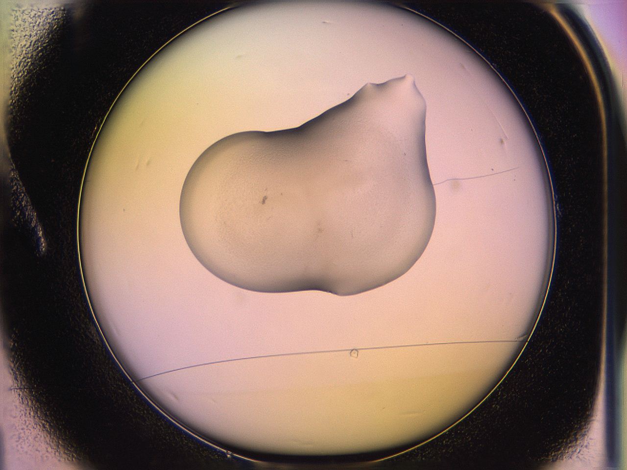 05qi_A1_ImagerDefaults_3.jpg