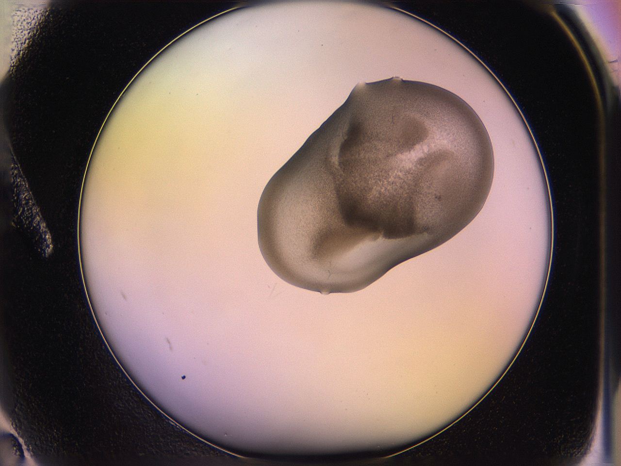 05qi_A2_ImagerDefaults_3.jpg