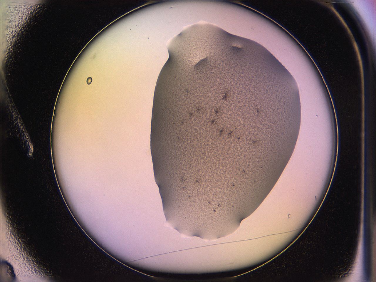 05qi_A3_ImagerDefaults_3.jpg