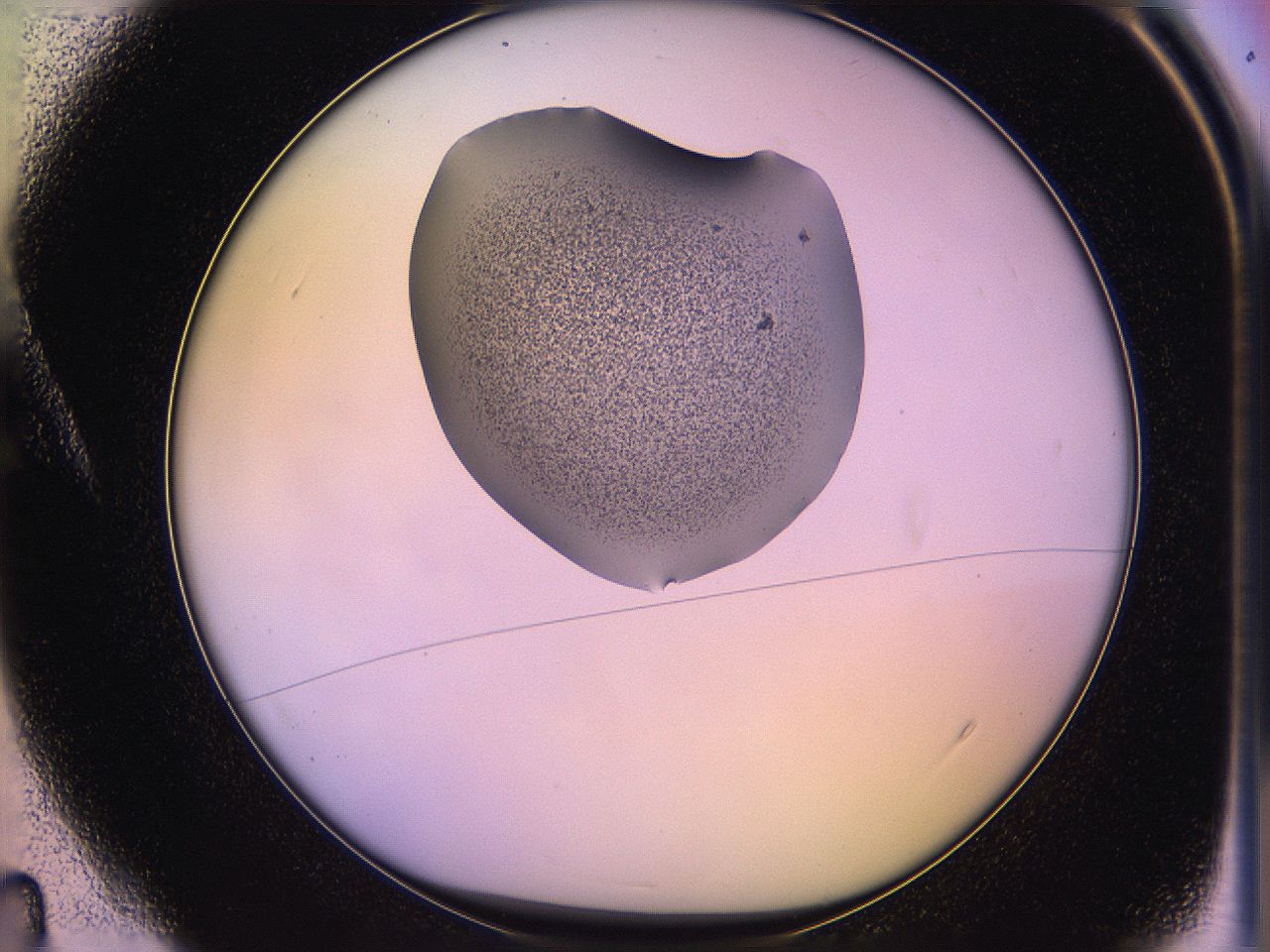 05qi_A4_ImagerDefaults_3.jpg