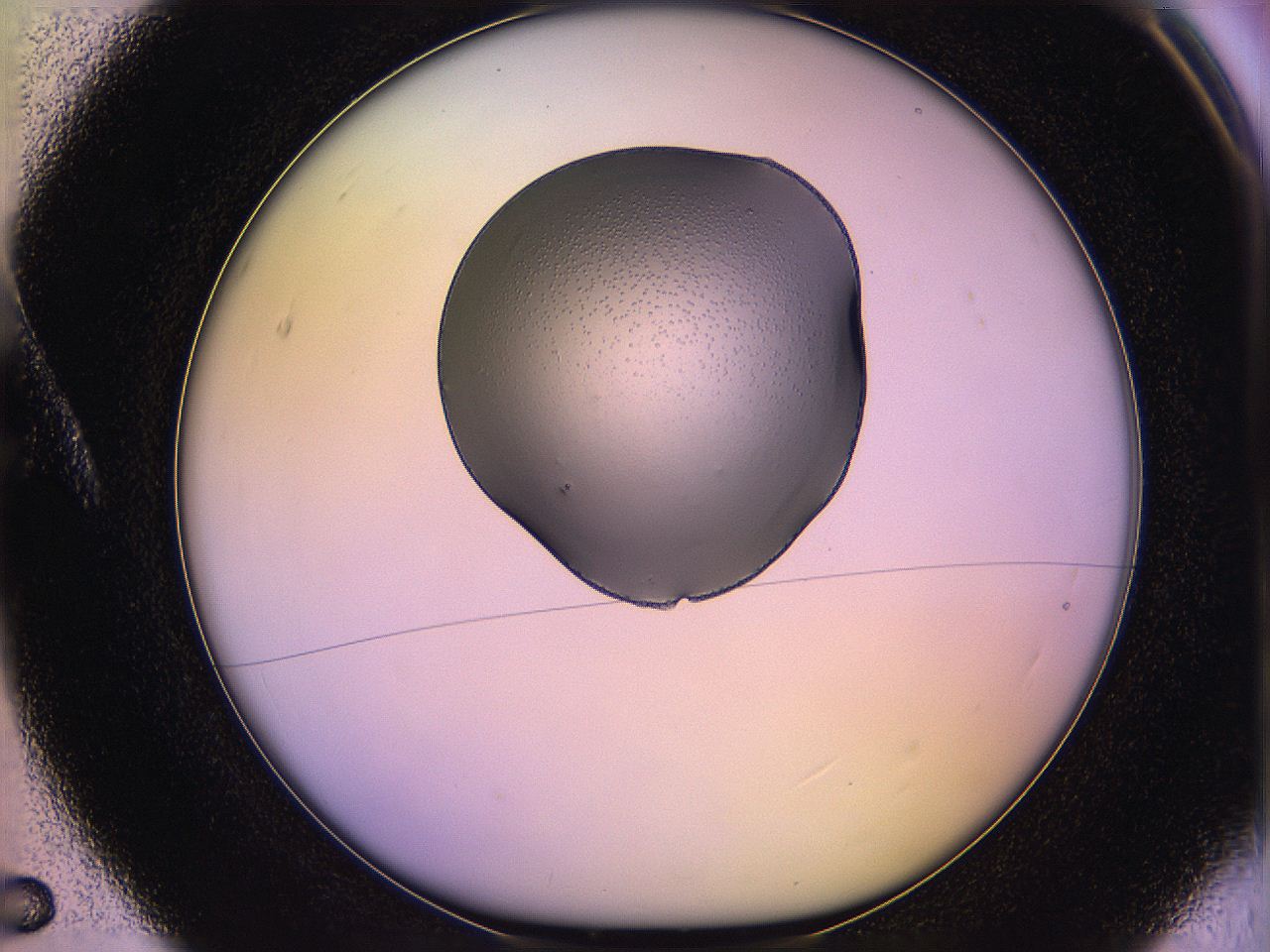 05qi_A5_ImagerDefaults_3.jpg